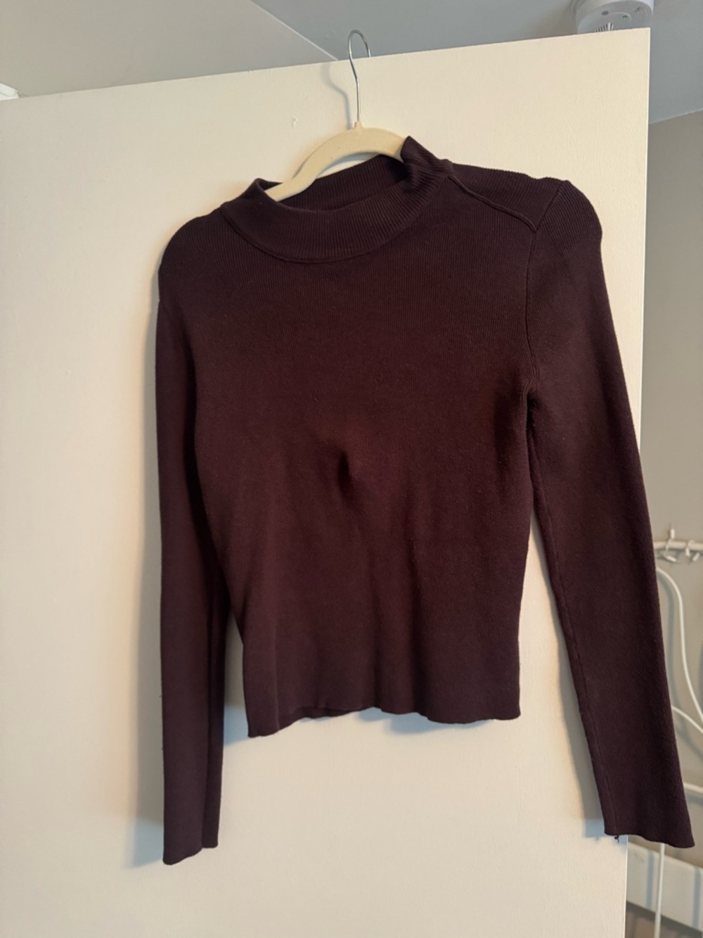 Urban Outfitters BDG Brown Ribbed Mockneck Long Sleeve